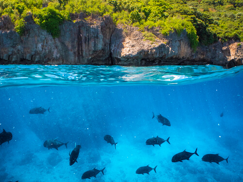 christmas island swell lodge photo tour example 19